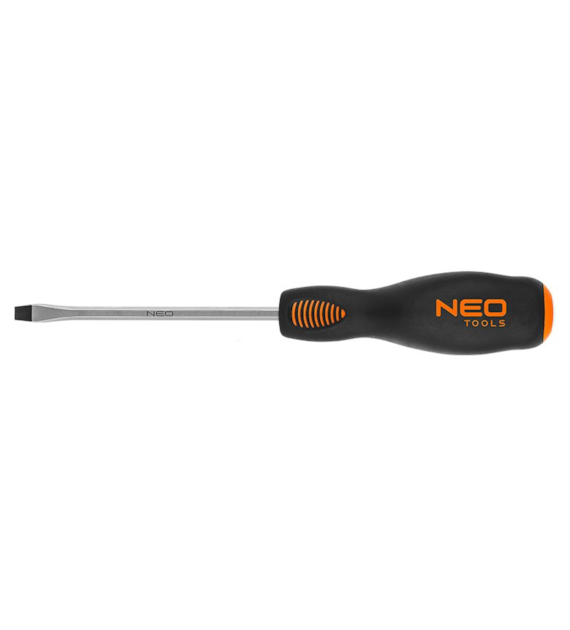 WKRĘTAK PŁASKI 5,5x100 NEO S2/25