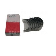 PANEWKI GŁÓWNE MF R1 MAHLE