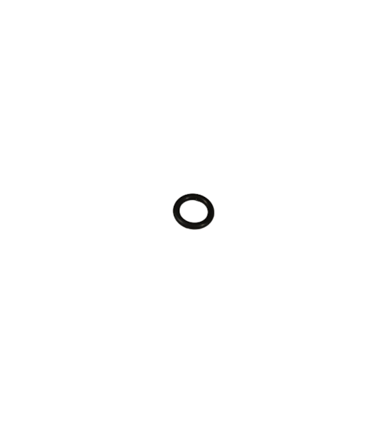 ORING 10*2,5