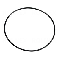 ORING 125*3