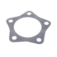 USZCZELKA WOM T25 POLGASKET