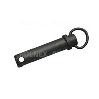 SWORZEŃ WIDŁAKA MF