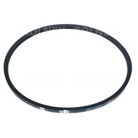 PASEK HA 1900 SANOK ŻÓŁTY