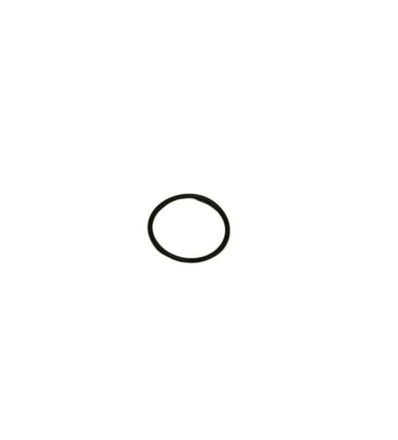 ORING 20,3*2,4