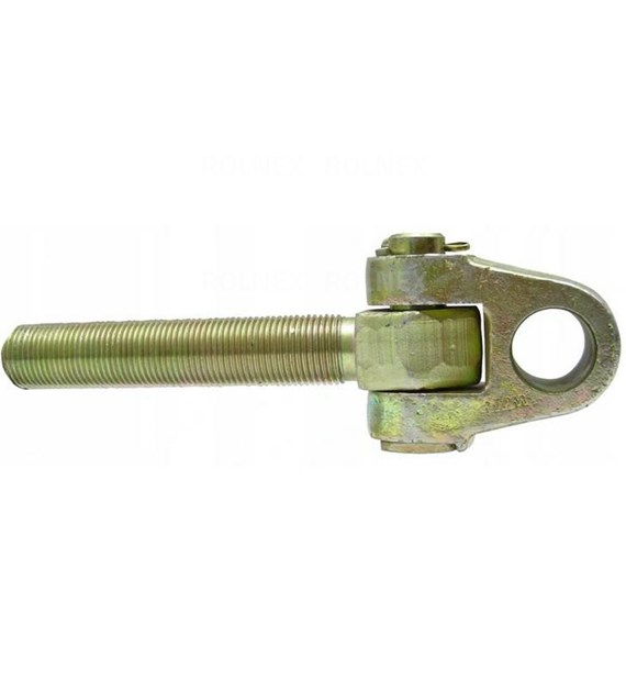 GŁÓWKA Z TRZPIENIEM 20012025