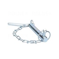 SWORZEŃ ŁĄCZNIKA DOLNEGO 22*135