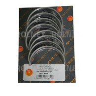 PANEWKI GŁÓWNE MF R3 CHEŁMNO