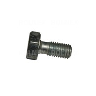 ŚRUBA MTZ ORYGINAŁ