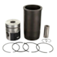 ZESTAW NAPRAWCZY MTZ D245/260 MOTORDETAL SWORZEŃ FI 42 KOMORA FI 60/COMMON RAIL