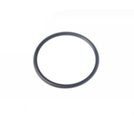 ORING 25*2 54510512