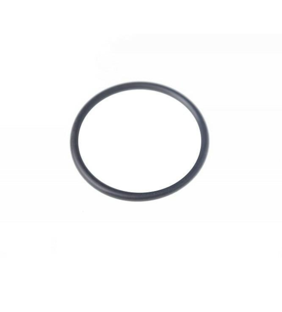 ORING 25*2 54510512