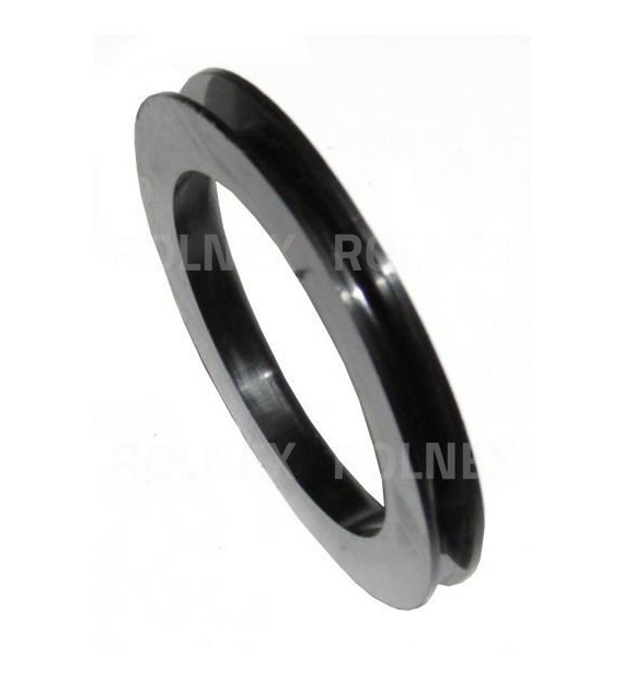 PIERŚCIEŃ ZWROTNICY ZETOR