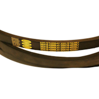 PASEK 25X16X4300 ROVEN ANNA ANNA