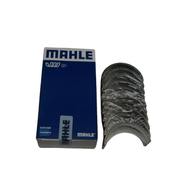 PANEWKI GŁÓWNE C360 R1 N-0,25 MAHLE