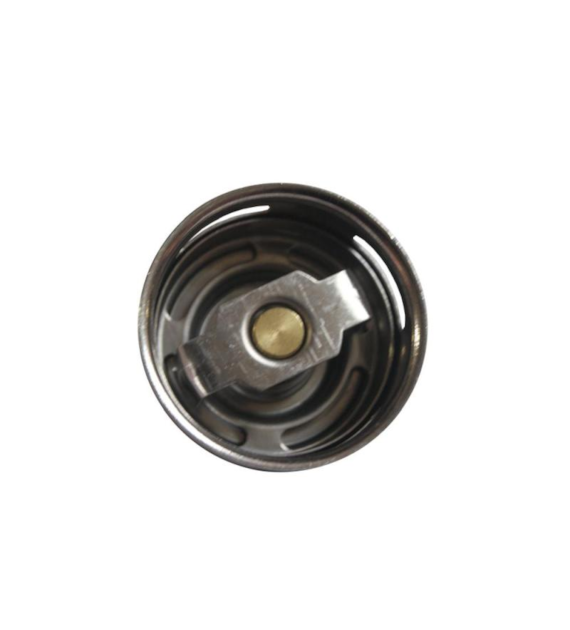 TERMOSTAT C330