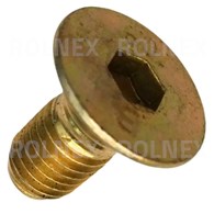 ŚRUBA TALERZA ŚLIZGOWEGO 10,9 NA KLUCZ 8