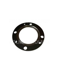 PIERŚCIEŃ SKRZYNI BIZON