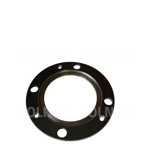 PIERŚCIEŃ SKRZYNI BIZON