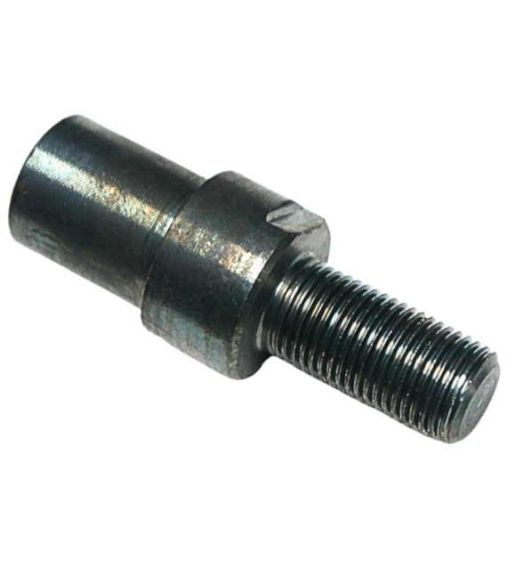 CZOP BIZON PL