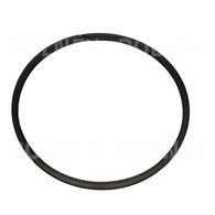 PIERŚCIEŃ PRZEKŁADNI BIZON