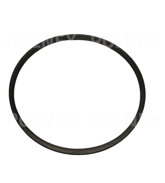 PIERŚCIEŃ PRZEKŁADNI BIZON