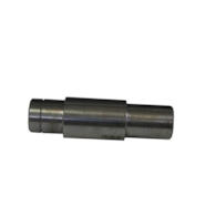CZOP BIZON ROLMUS