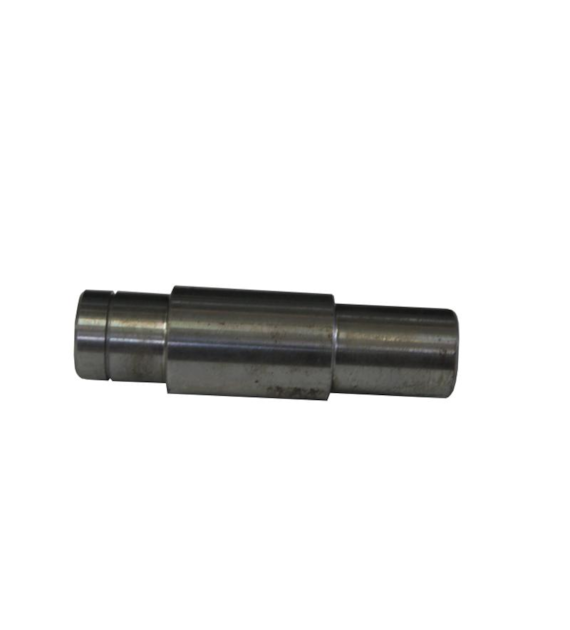 CZOP BIZON ROLMUS