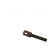 SWORZEŃ BIZON ROLMUS