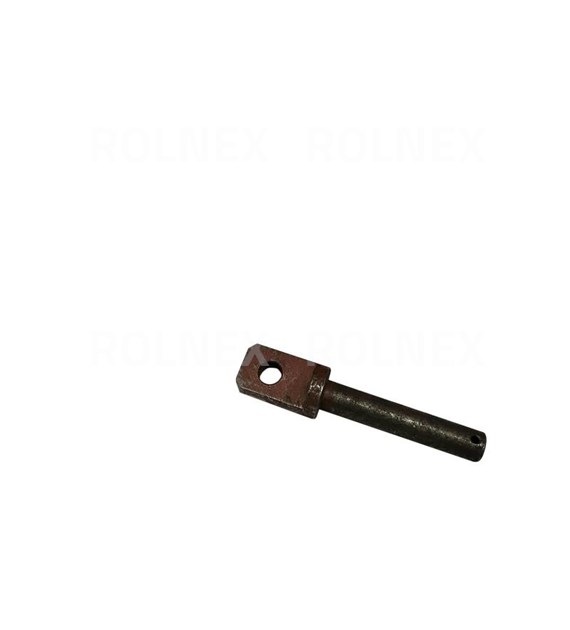 SWORZEŃ BIZON ROLMUS