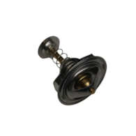 TERMOSTAT C360