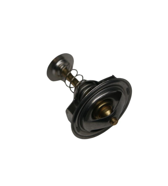 TERMOSTAT C360