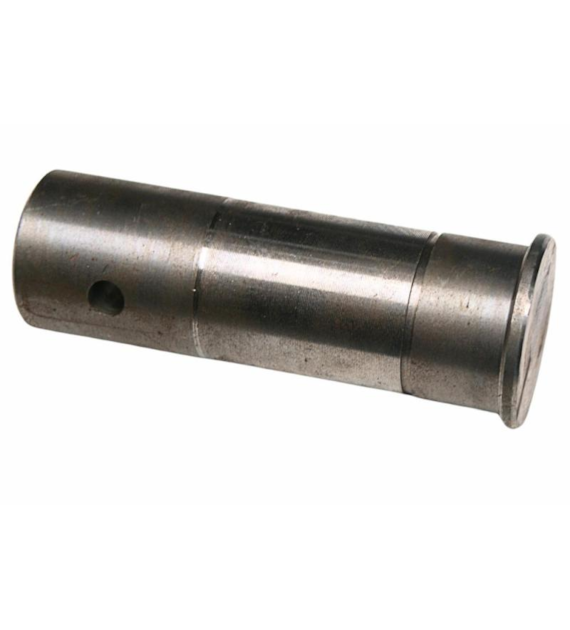 CZOP BIZON PL