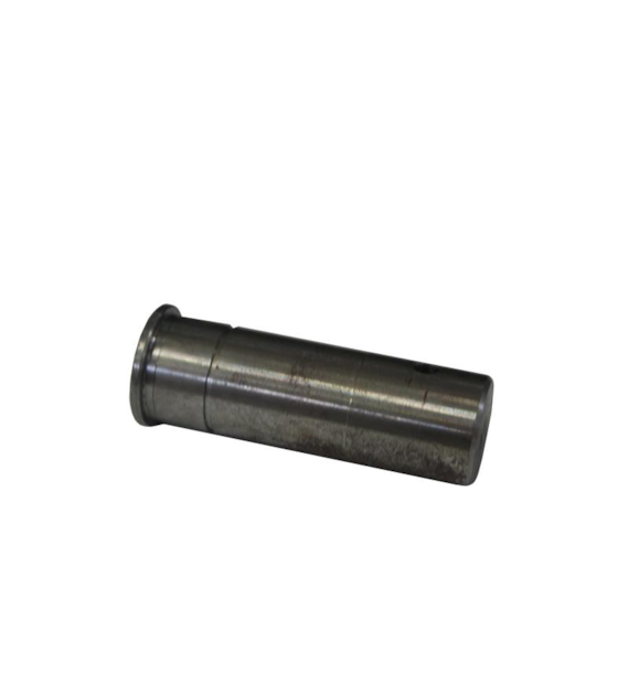 CZOP BIZON ROLMUS