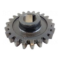 KOŁO ZĘBATE SIPMA Z22 202308013800