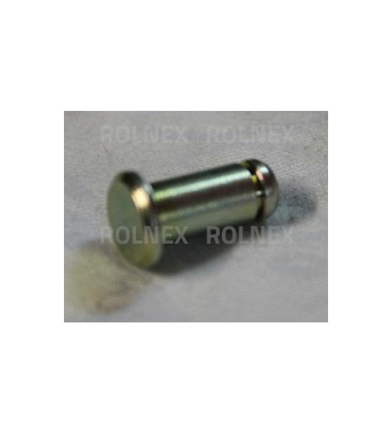 SWORZEŃ GWINT CIĘGŁA