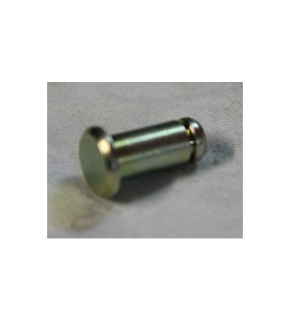 SWORZEŃ GWINT CIĘGŁA