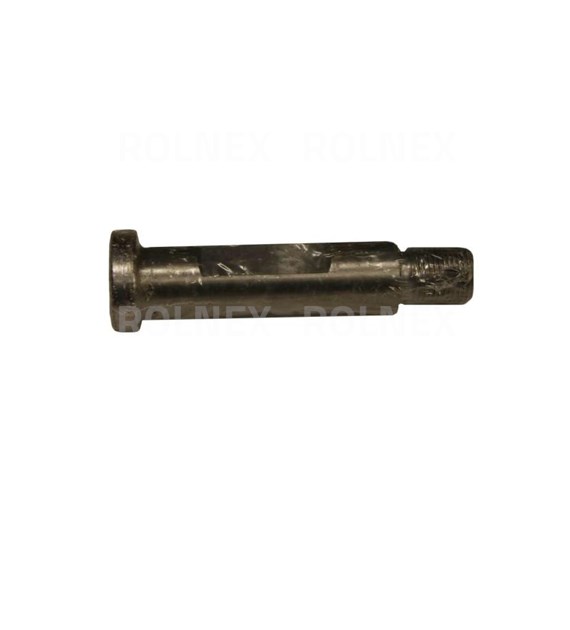 SWORZEŃ DYSZLA D47 PL