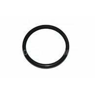 PIERŚCIEŃ SWORZNIA OSI ZETOR