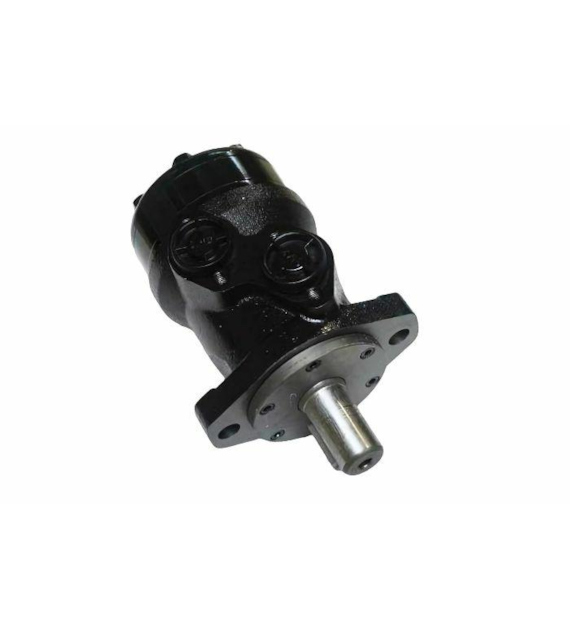 SILNIK HYDRAULICZNY 100 ALSG2-L-100-O2-C25-01