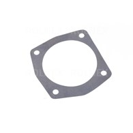 USZCZELKA T25 POLGASKET