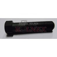 ŚRUBA WIDEŁEK ST T25