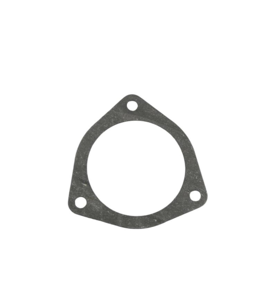 USZCZELKA TERMOSTATU C385 POLGASKET