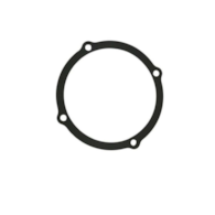USZCZELKA C385 POLGASKET