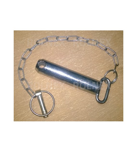 SWORZEŃ ZACZEPU DOLNEGO LISTWOWEGO C385