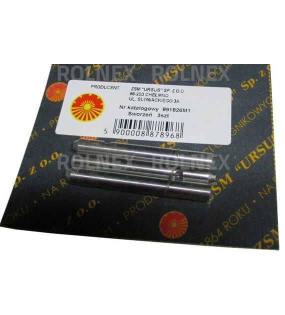 SWORZEŃ ŁAPKI SPRZĘGŁA MF CHEŁMNO