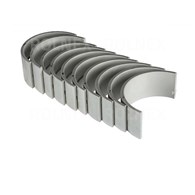 PANEWKI GŁÓWNE C360 R5 N-1,25 BIMET KOMPLET