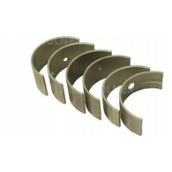 PANEWKI GŁ C330 NOM URSUS