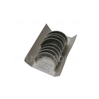 PANEWKI GŁÓWNE MF R2 BIMET