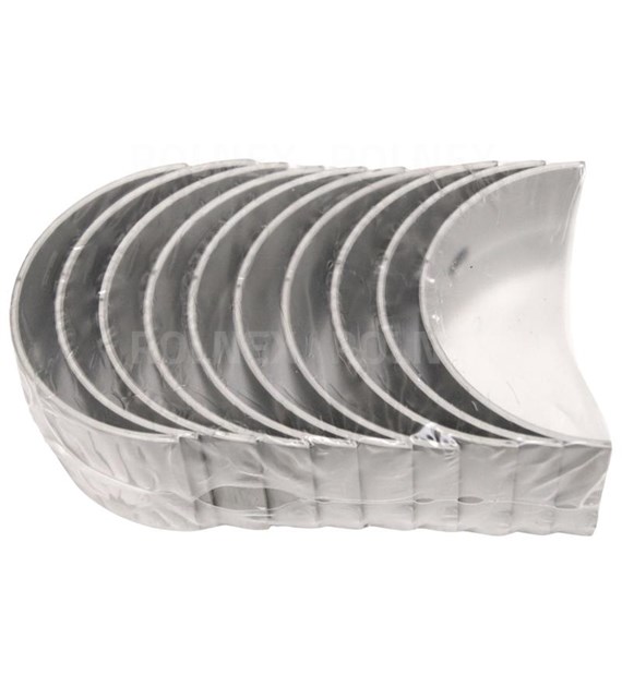 PANEWKI GŁÓWNE C385 4 CYL. NOM BG