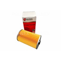 WKŁAD FILTRA DOKŁADNY 2154/10/AX C385 SĘDZISZÓW